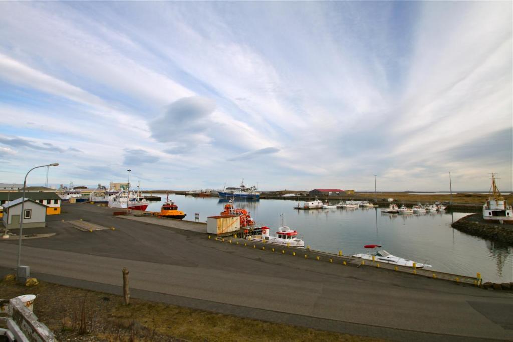 Hvammur Apartments By The Harbour Höfn Dış mekan fotoğraf